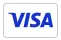 Visa payment