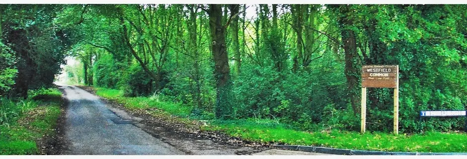 The Common